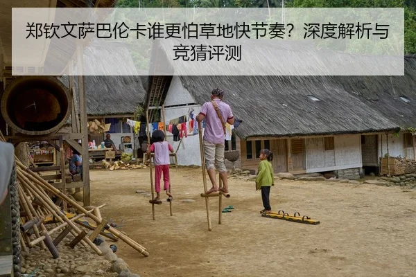 郑钦文萨巴伦卡谁更怕草地快节奏？深度解析与竞猜评测